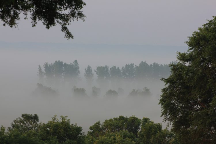 Foggy And Smoky Wednesday Morning Skyspy Photos Images Video